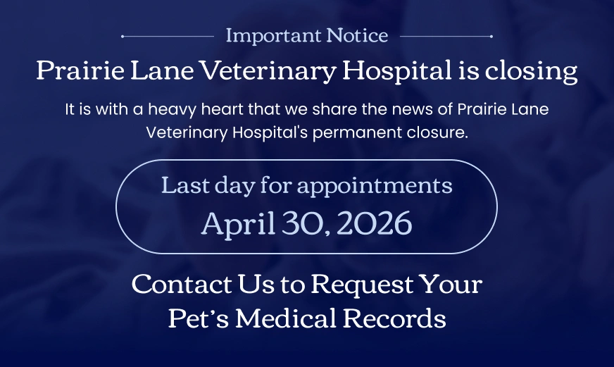 Pop-banner-prairie-lane-vet Permanent Closure